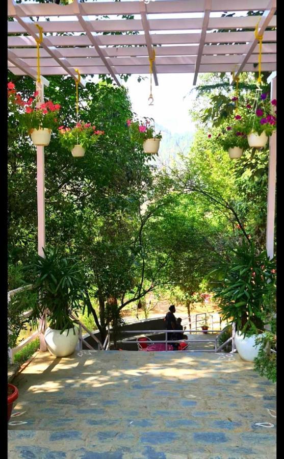 Aaroham Resort Shimla ! Luxury Cottage By Aamod Group Exterior foto