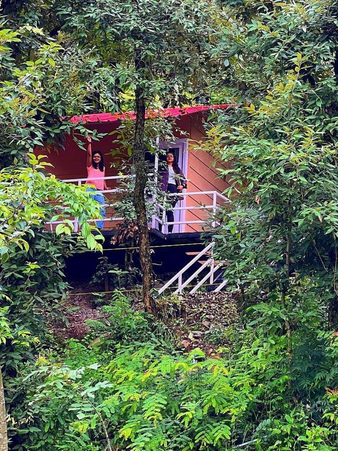 Aaroham Resort Shimla ! Luxury Cottage By Aamod Group Exterior foto