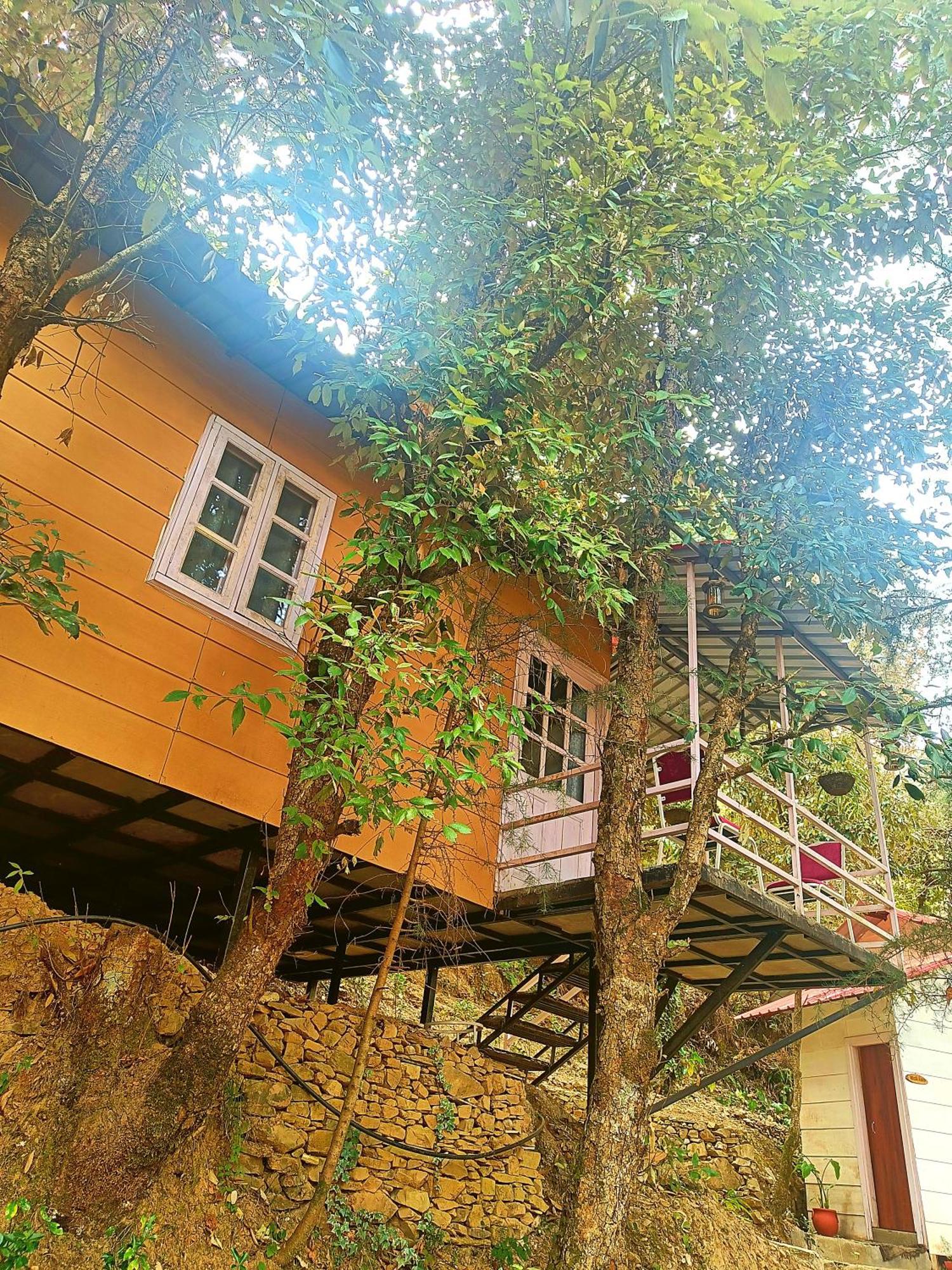 Aaroham Resort Shimla ! Luxury Cottage By Aamod Group Exterior foto